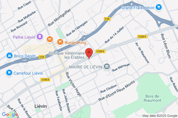 Clinique Veterinaire A Degardin
