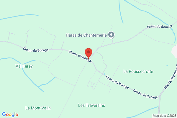 Les Normandines