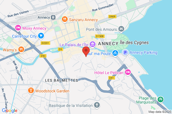 Amis Chateau D Annecy