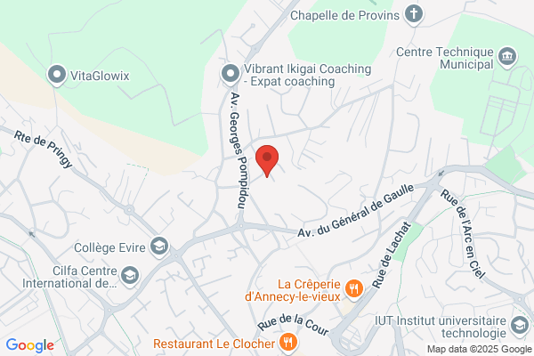 Battier Michel