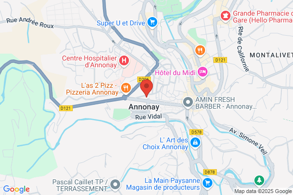 LES MONGOLFIERES D ANNONAY