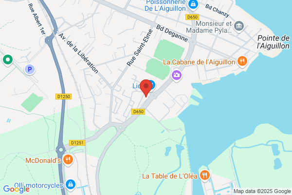 Altica Arcachon Marines
