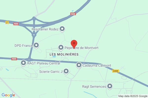Compagnie Des Elfes