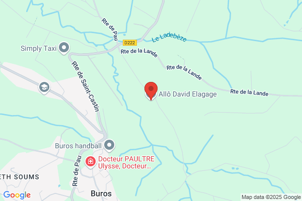 Allo David