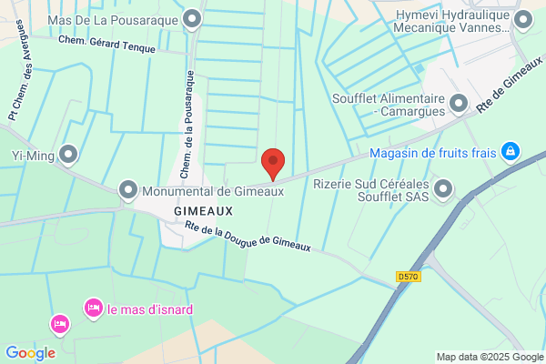 Arles Ramonage