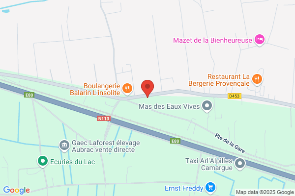 Brun Rene Ebeniste