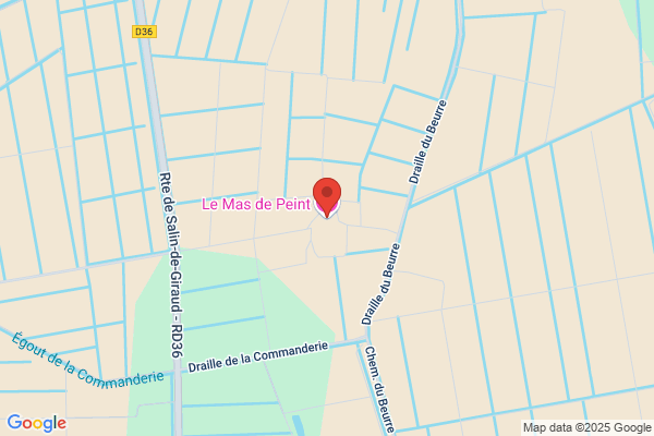 Hotel Restaurant Mas De Peint