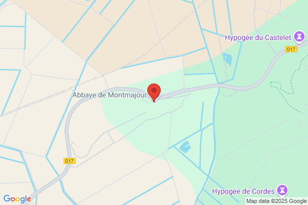 Abbaye De Montmajour