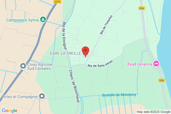 Cave La Treille Et L Olivette