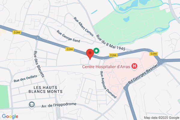 Apan Association Psychiatrique D Arras Nord
