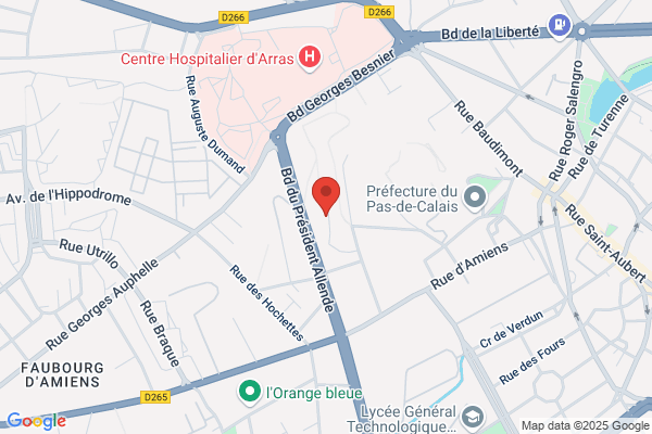 Carabiniers D Artois
