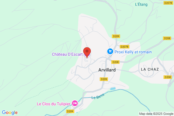 Chateau d'Escart