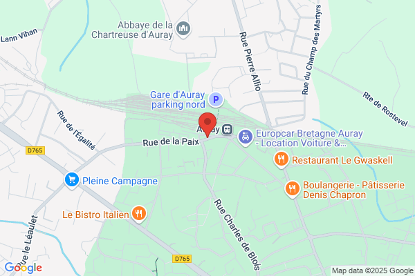 Artaxi Taxis Pays D Auray Adherent