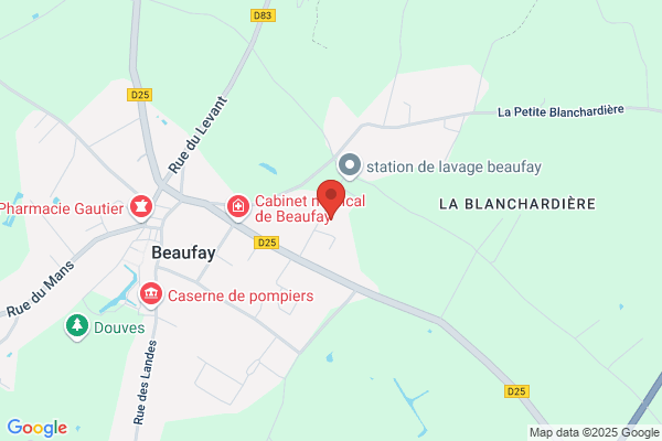 Breteau Gilles