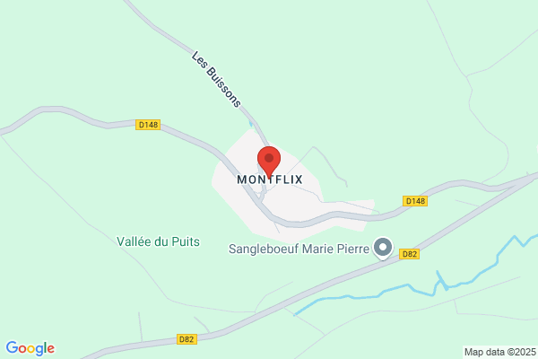 MonFlix