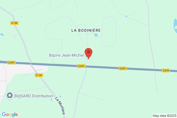 Bazire Michel