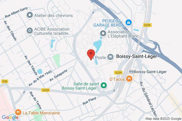 Boissy Michel Medecin