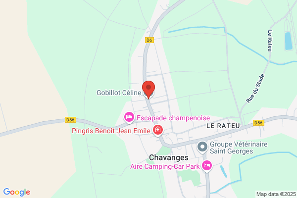Cabinet Kinesitherapie Chagniot Poulet Regnier