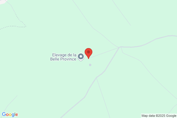 Clinique Veterinaire Des Docteurs Abric Anatom