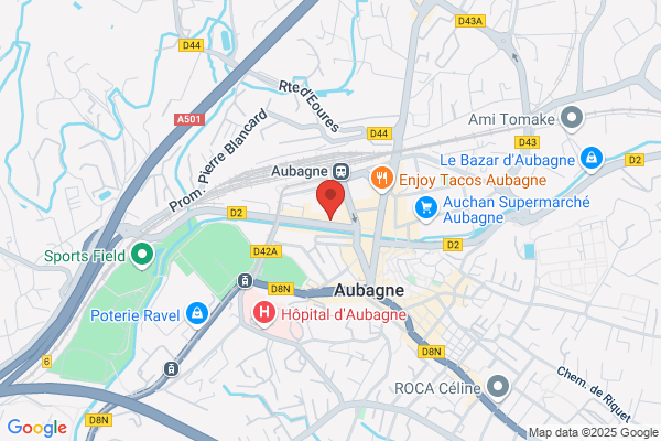 Conseil General Des Bouches Du Rhone Diss centres medico sociau
