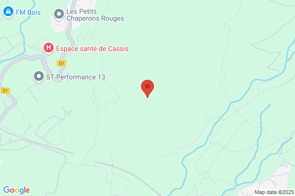 Borrione Claude Louis Pediatre