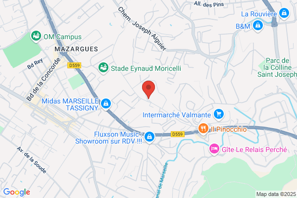 Duquesnoy Pierre