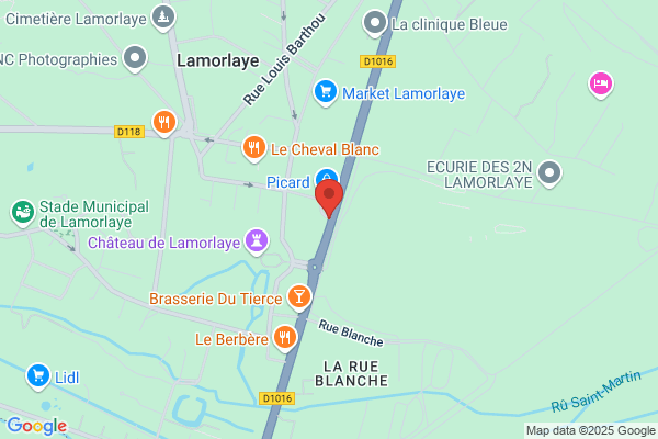 PIZZA YOLO - LARMORLAYE (ADIAL FRANCE)