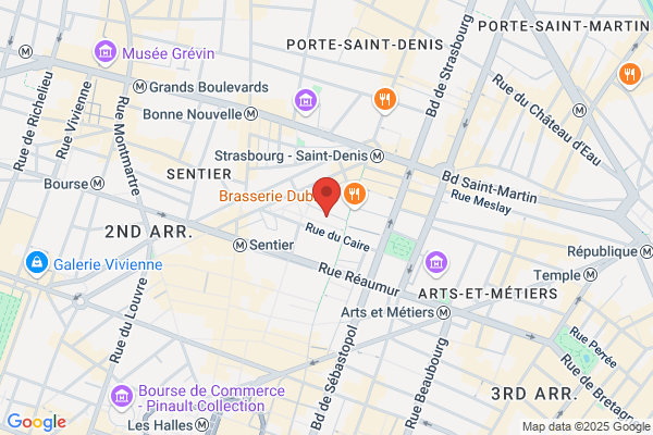 Un Pigeon Dans Paris