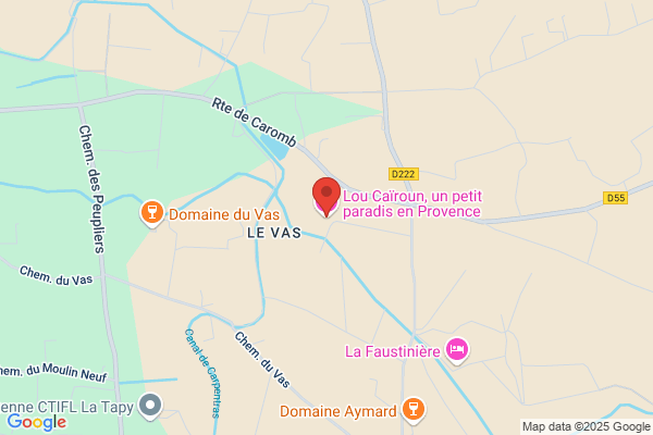 Du Pin De Saint Andre Olivier