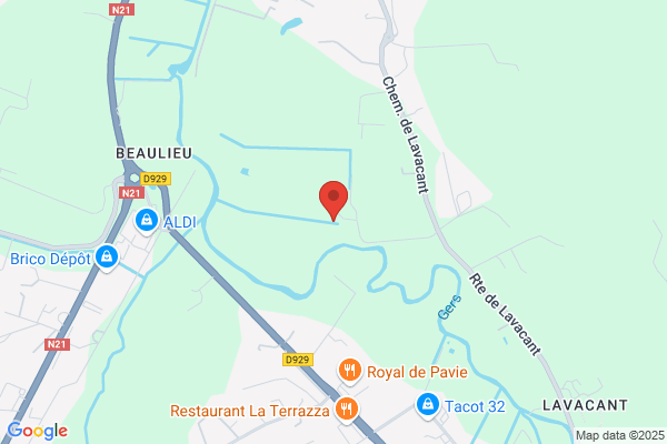 Bonis Jean Pierre