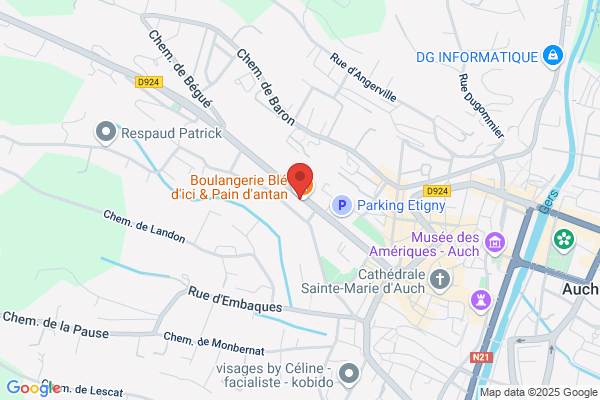d'artagnan immobilier