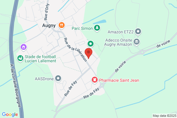 Association Paralyses France Social