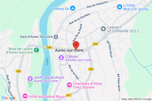 Bonson Veronique