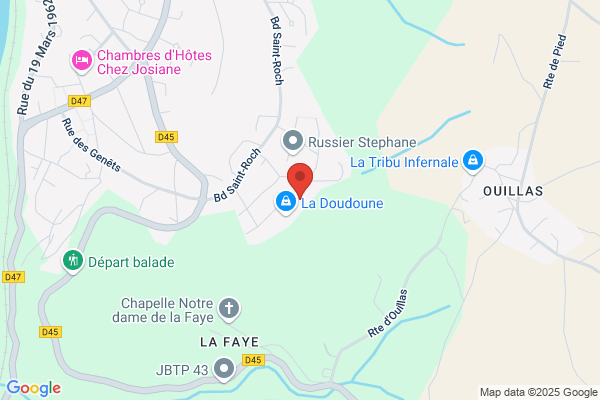 Import Export Du Velay Transport