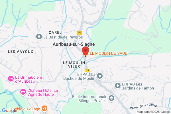 LE MOULIN DU SAULT