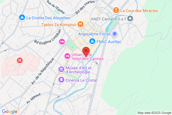 Conseil General Du Cantal Disss Service Social