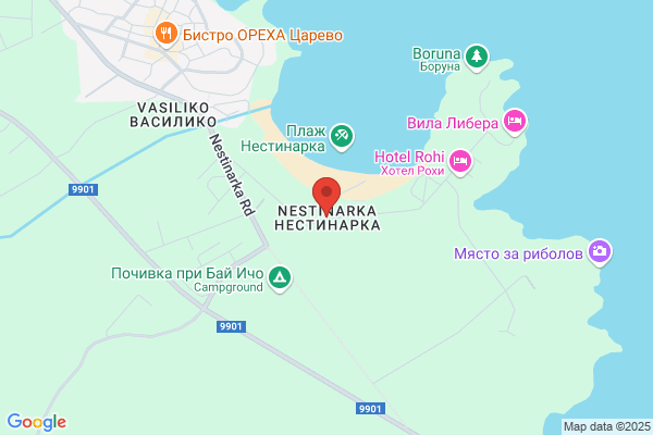 Nestinarka