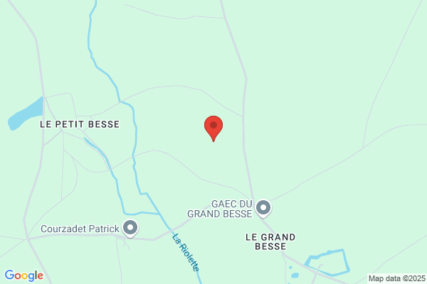 Bois Et Ma-Onnerie Traités