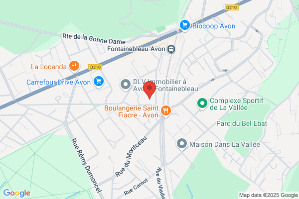 Cane Bride Francoise Medecin
