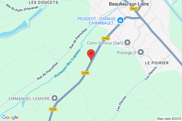 penseur ,magnétiseur