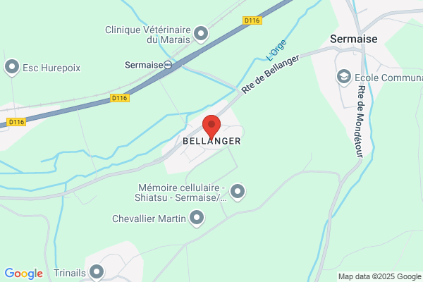Bellanger Guy
