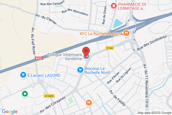 Chapon Frederic Dentiste
