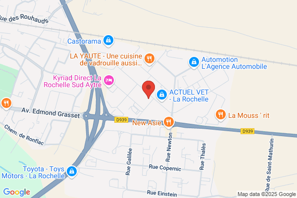 Chadog Diffusion Animal Mater Standard Administratif
