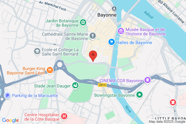 Aviron Bayonnais Section Rugby Equipe 1