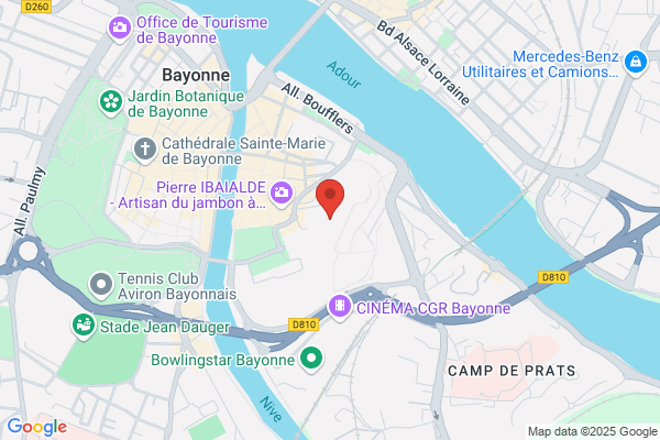 Bibliotheque De L Universite De Pau Et Pays De L adour section P