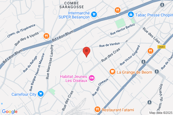 Association Des Parents D Enfants Deficients Auditifs Aped