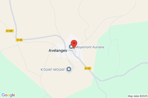 Anguenot Thierry
