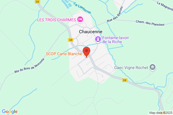 Carte Blanche