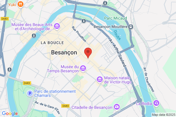 Canisse Cote Sud