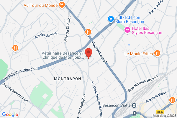 Clinique Veterinaire Du Docteur Loulier